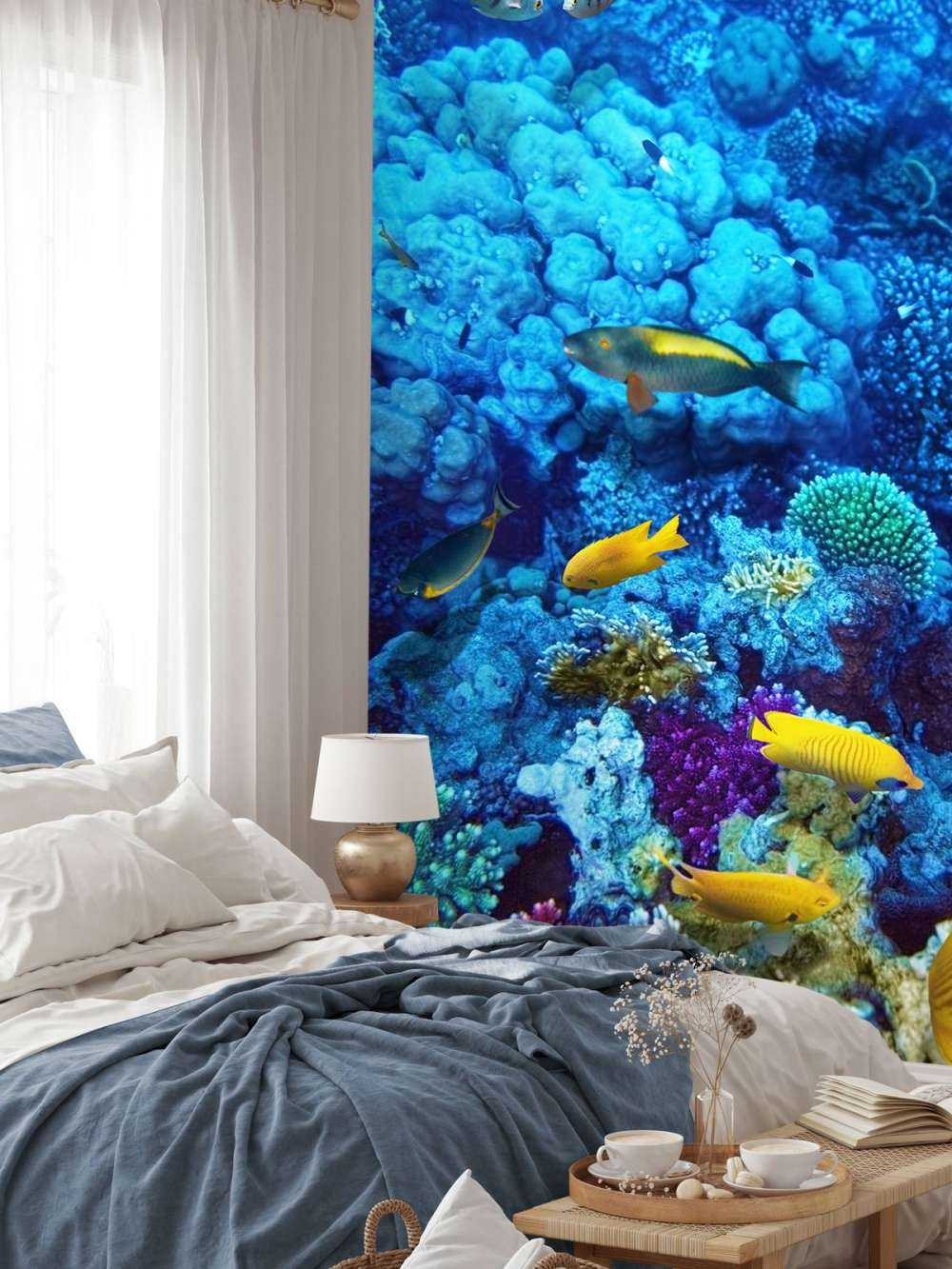 Poissons et coraux