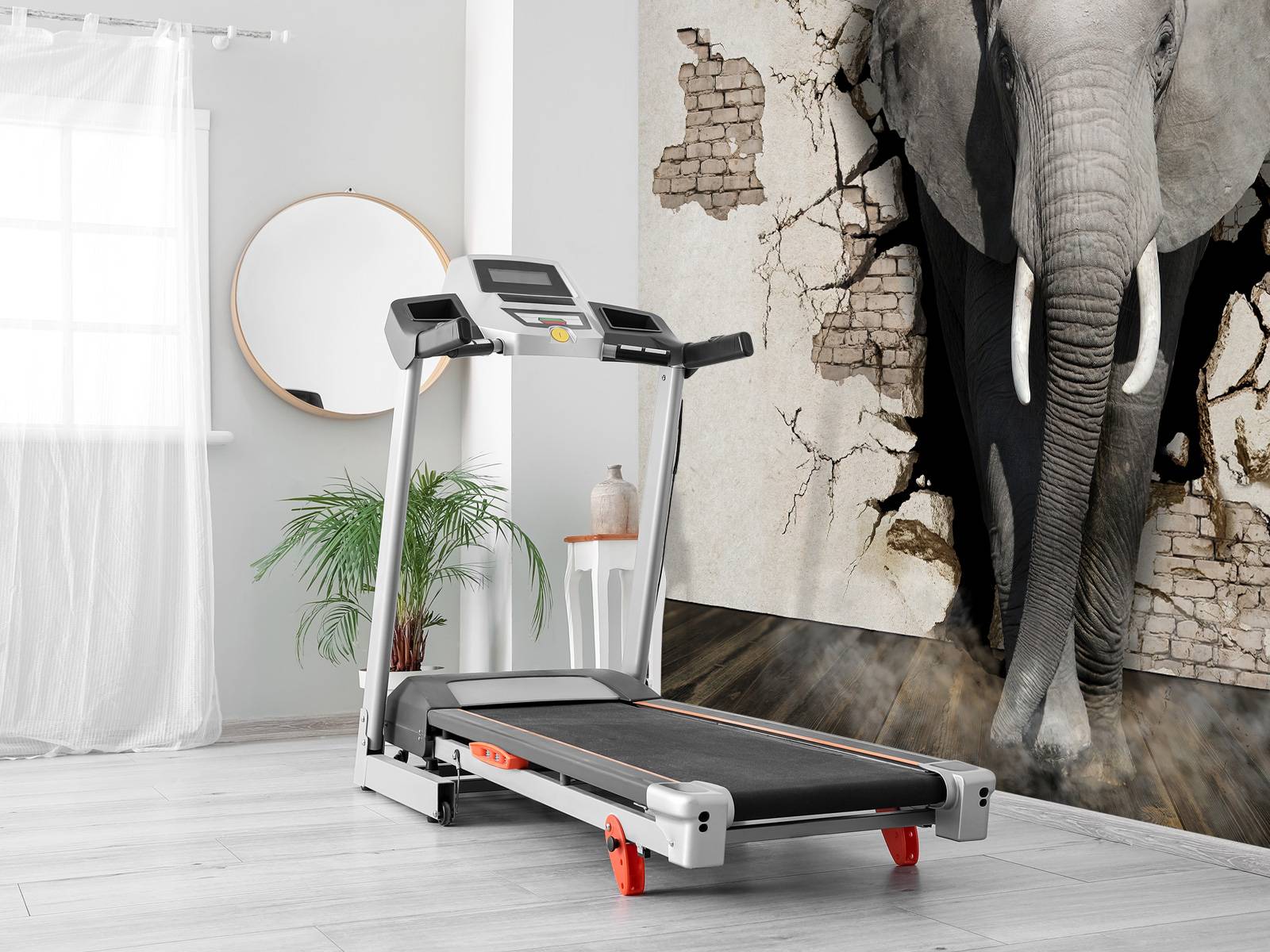 L'éléphant en 3D depuis le mur