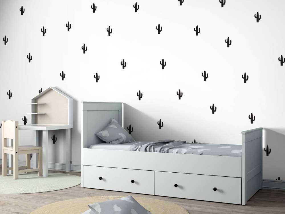 Cacti en noir et blanc