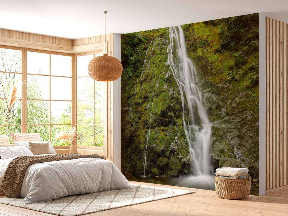 Chute d'eau avec une belle verdure