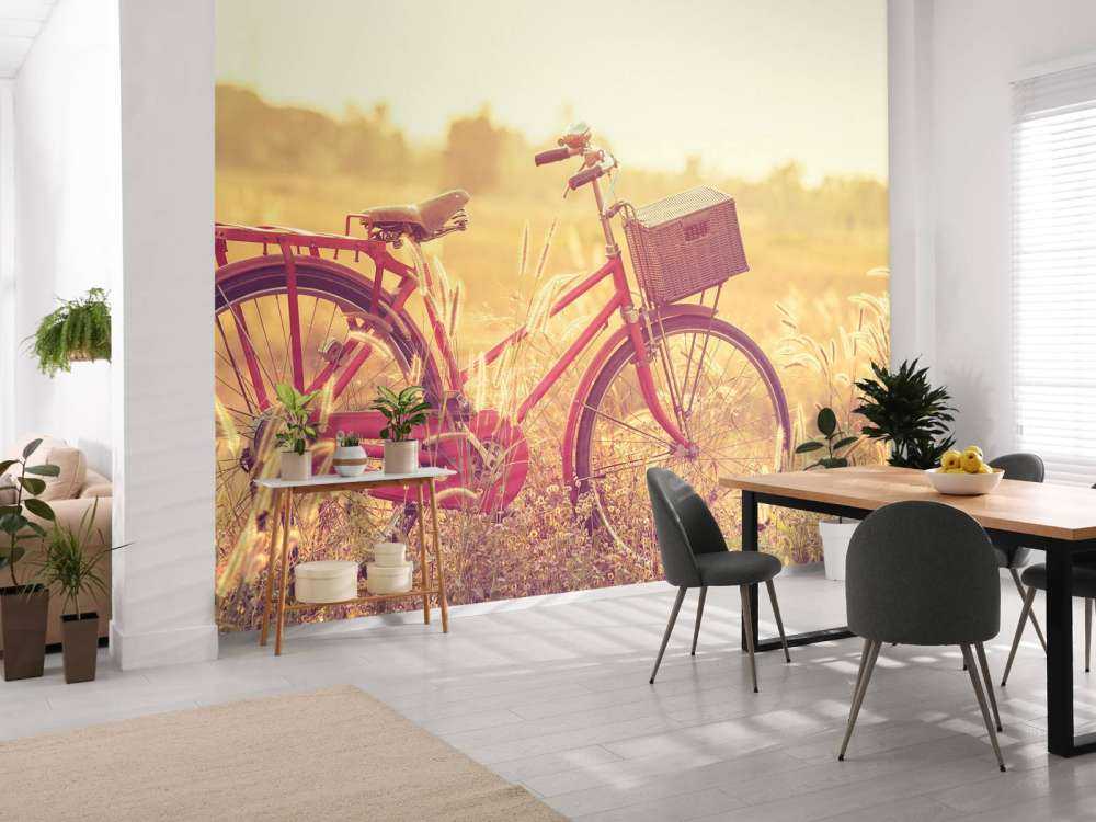 Vélo d'époque