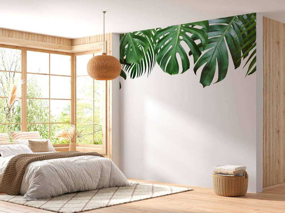 Plantes tropicales