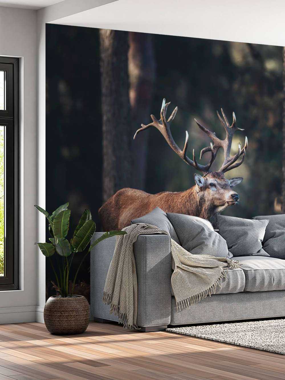 Un cerf sur une colline