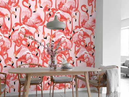 Flamants roses exotiques