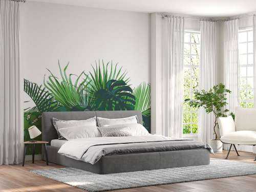 Palmiers tropicaux