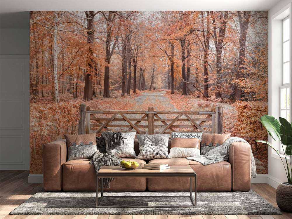 Passage vers la forêt d'automne