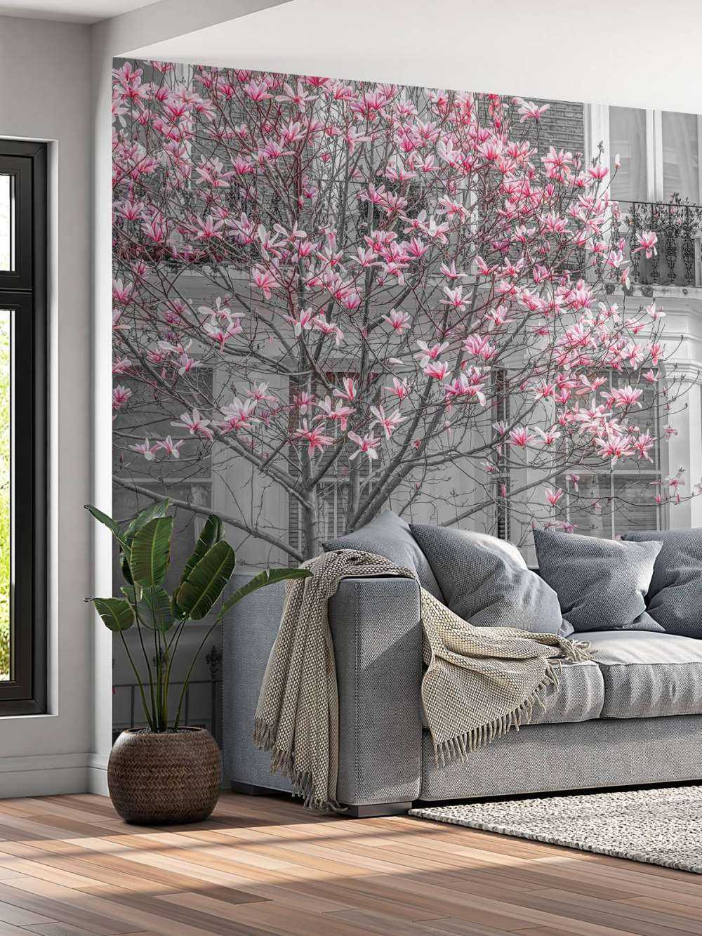 Magnolia en fleurs