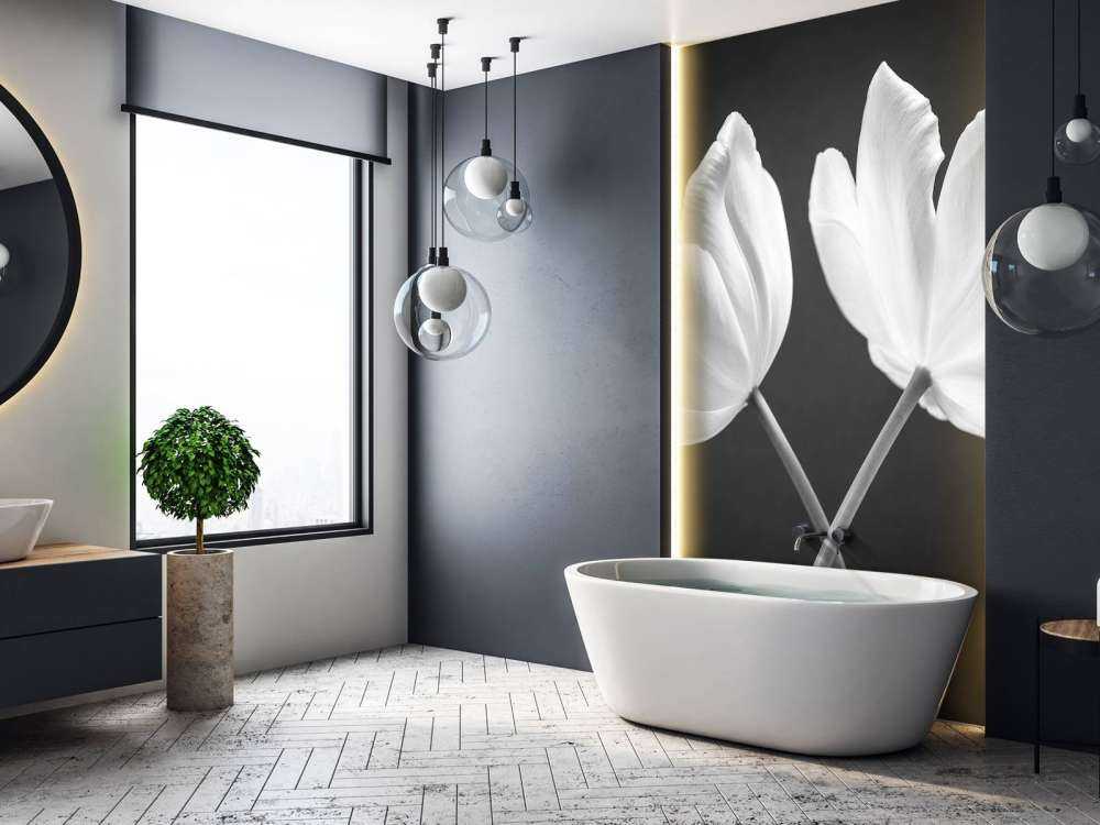Tulipes croisées