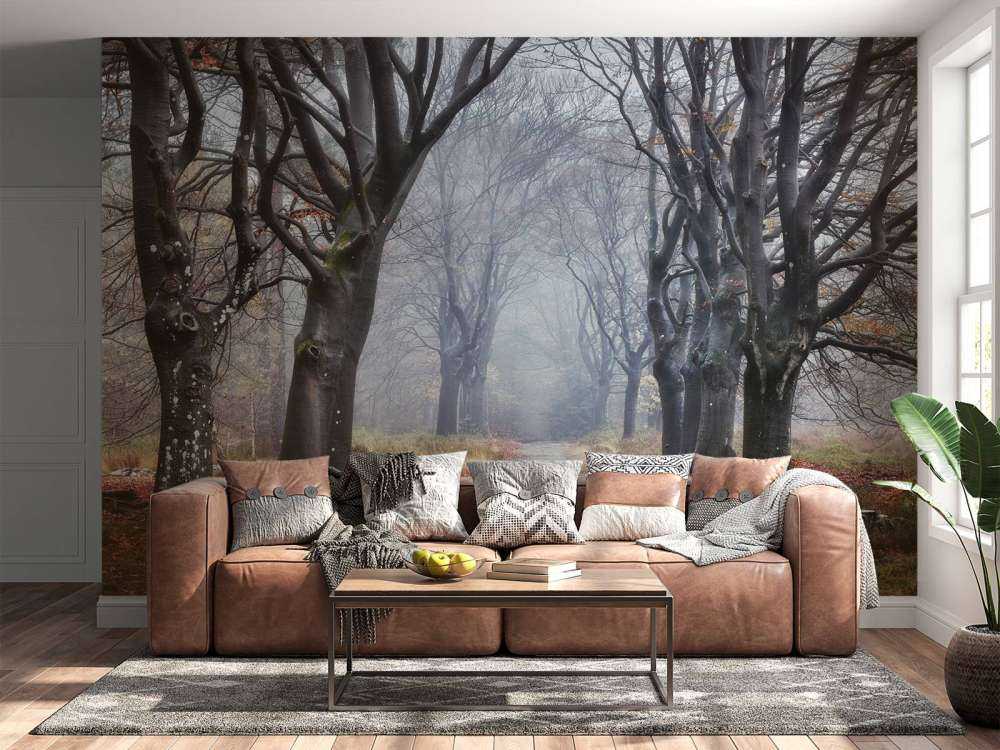 Les arbres de la forêt