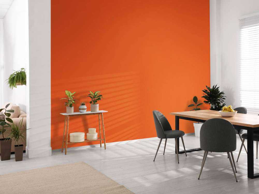 Orange citrouille