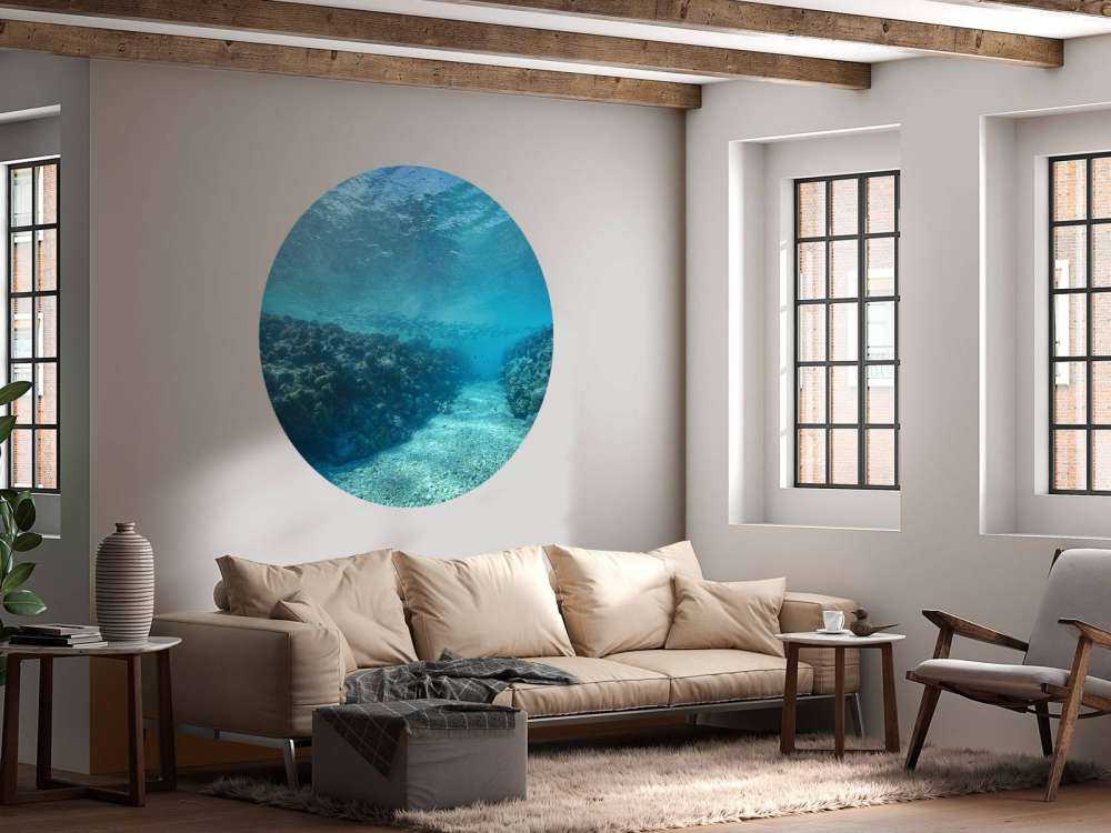 Monde sous-marin avec corail