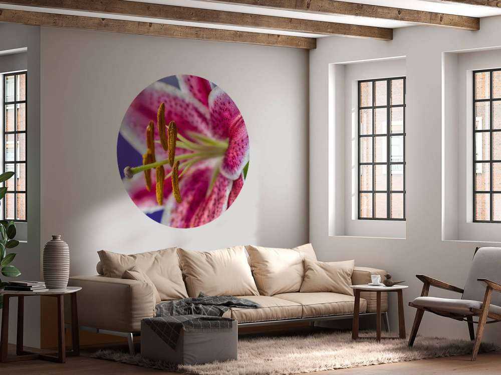 Gros plan sur une fleur rose