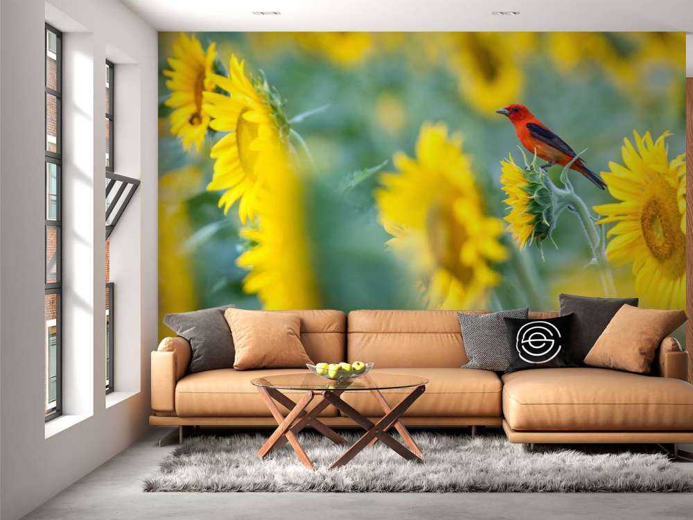 Champ de tournesols avec un oiseau rouge