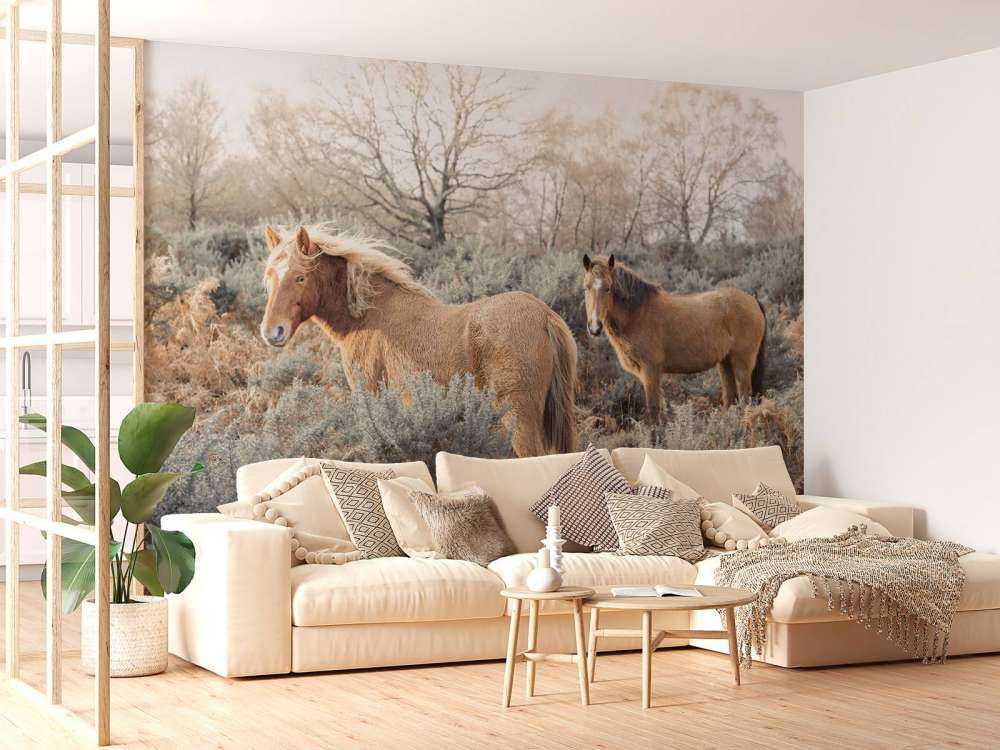 Chevaux sauvages
