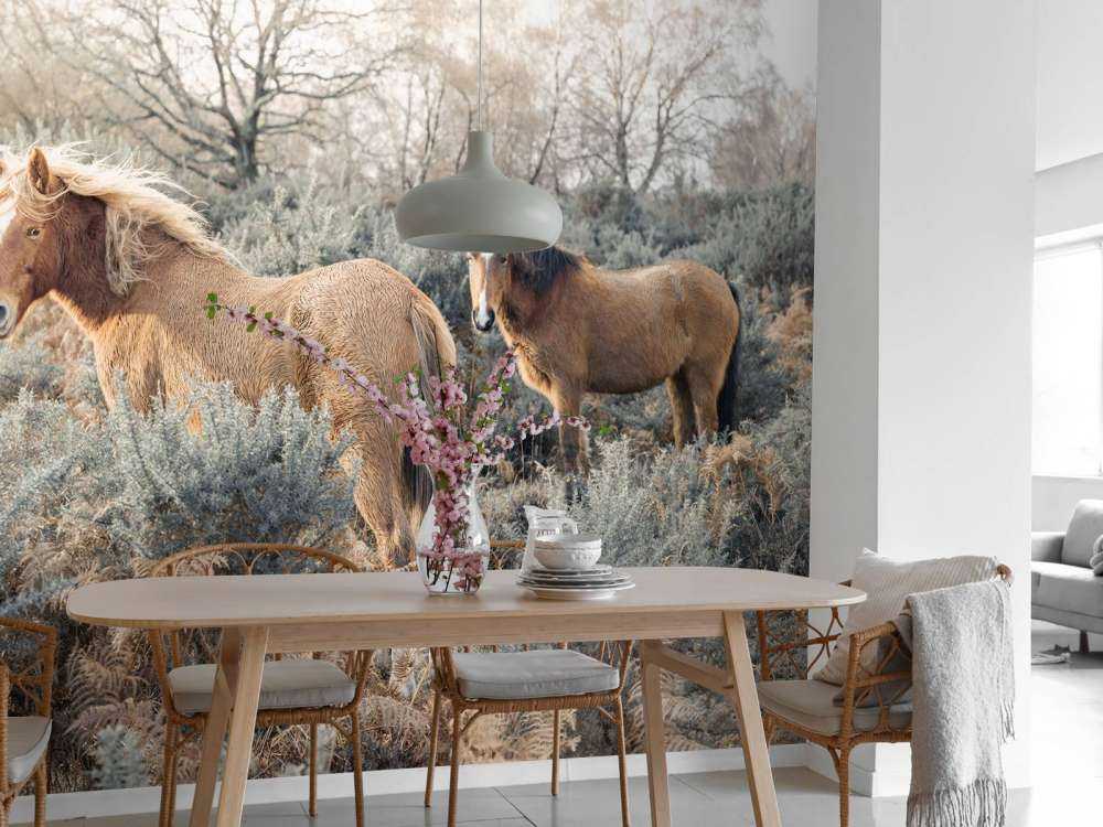 Chevaux sauvages