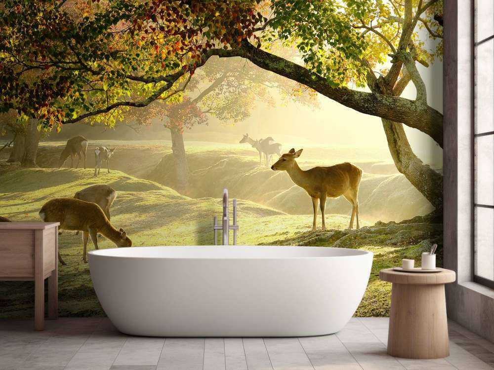 Cerfs à la campagne