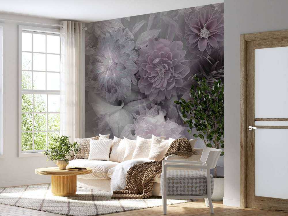Dahlia dream