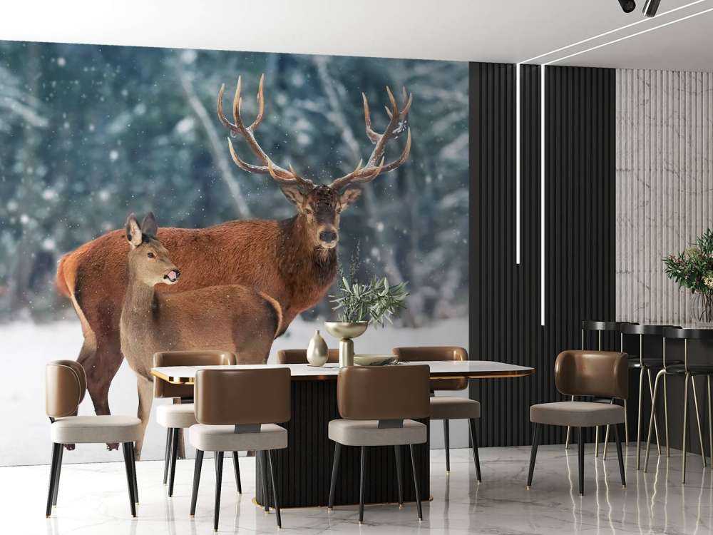 Cerf avec son faon