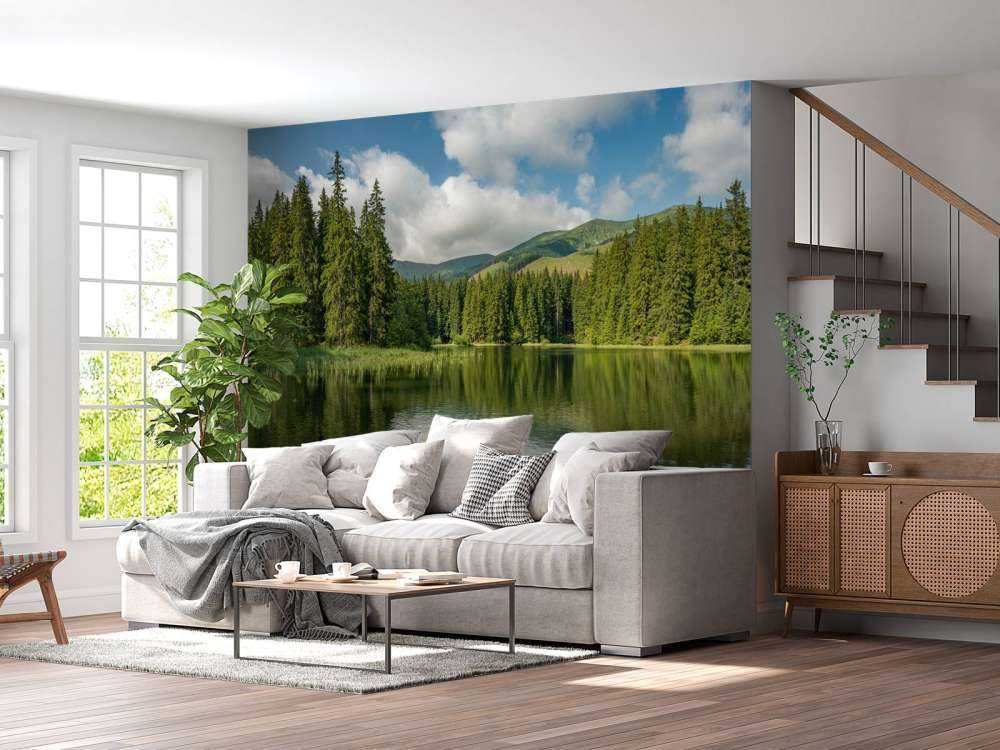 Lac dans la forêt