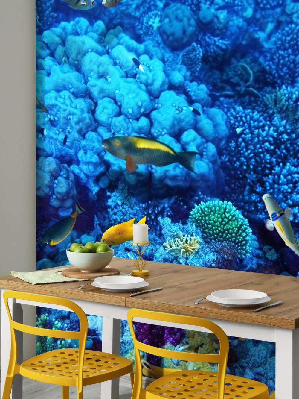 Poissons et coraux