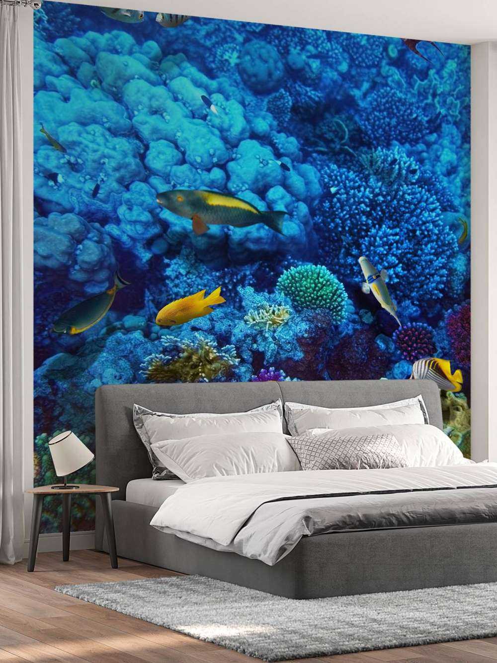 Poissons et coraux