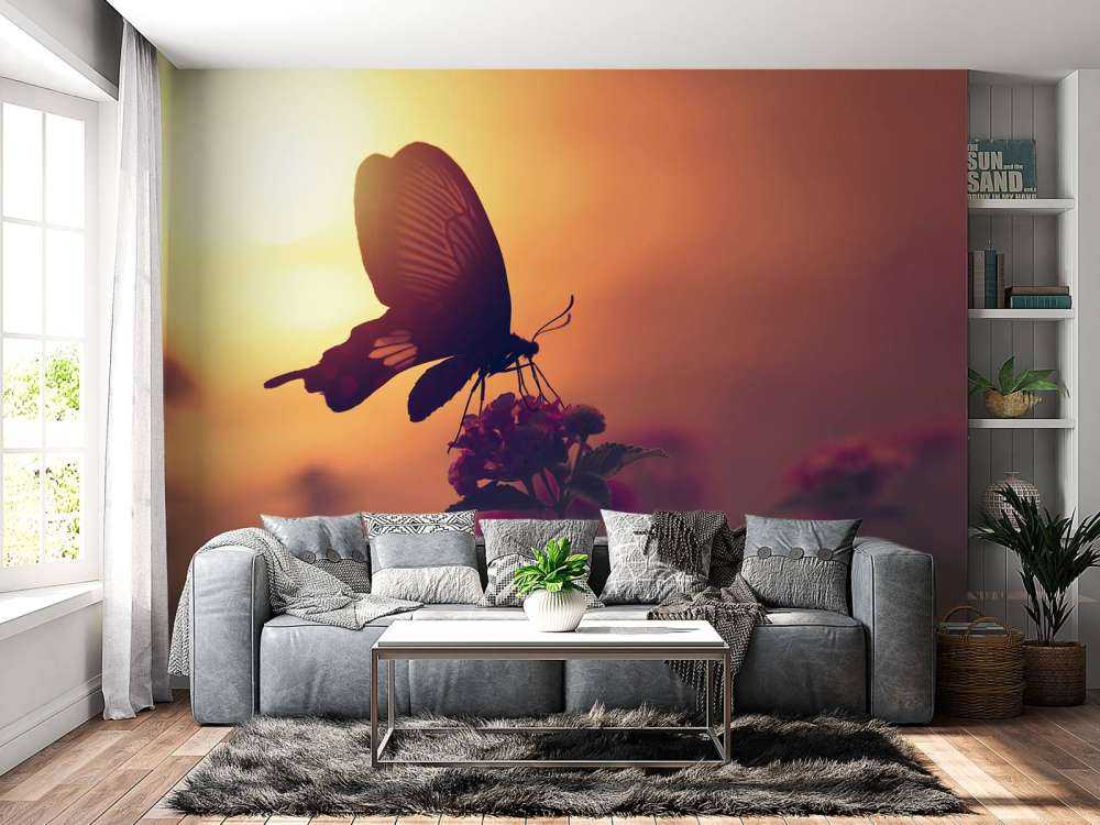 Papillon avec coucher de soleil