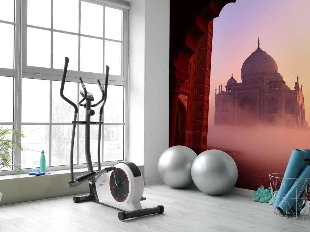 Le Taj Mahal au lever du soleil