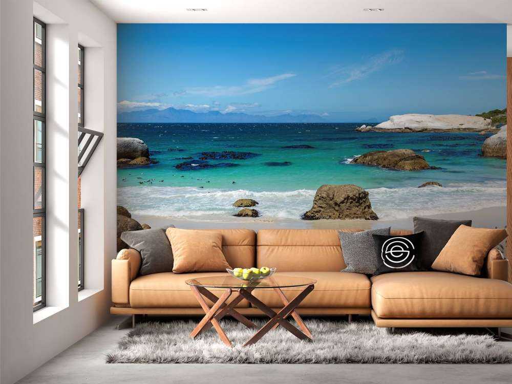 Plage avec pingouins