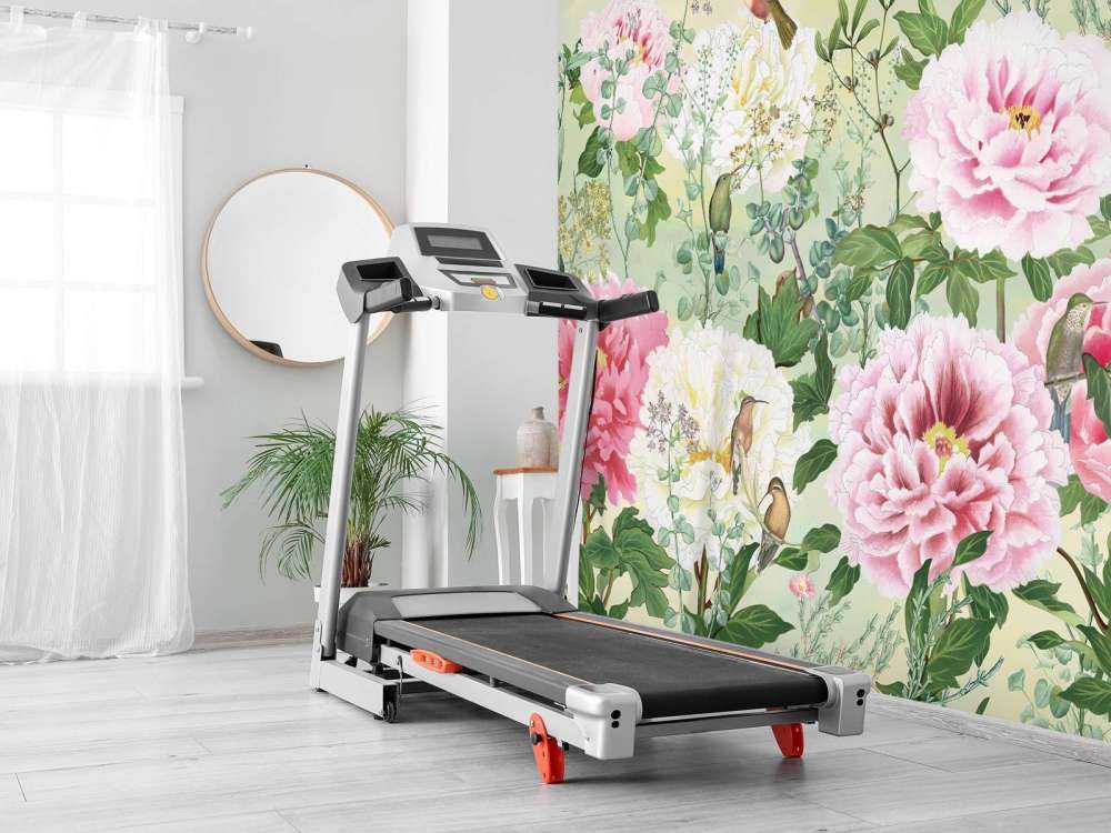 Paradis de Pivoine