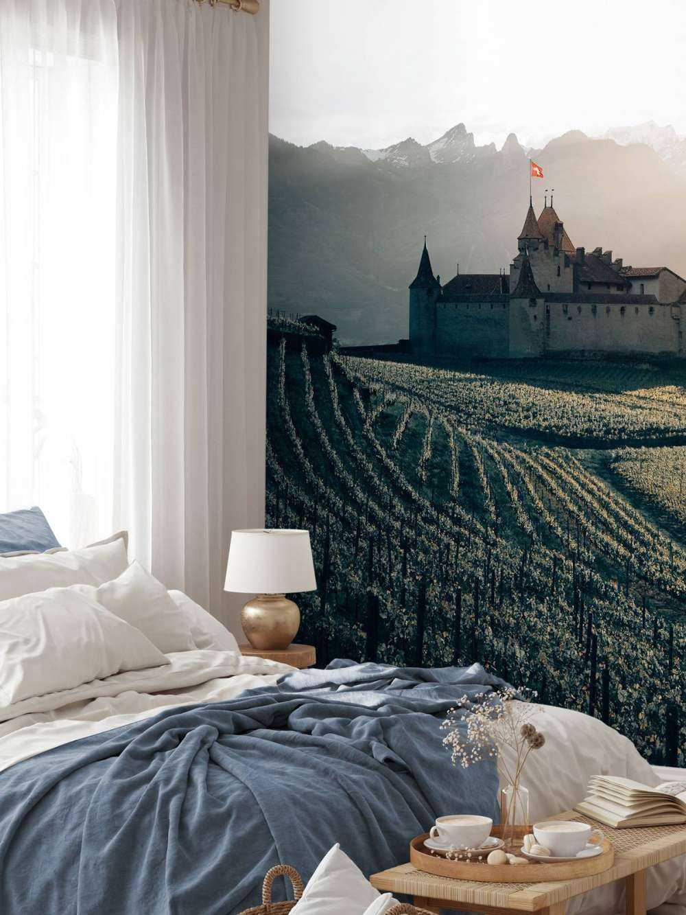 Château d'Aigle