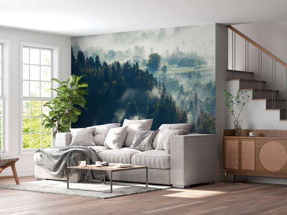 Paysage brumeux
