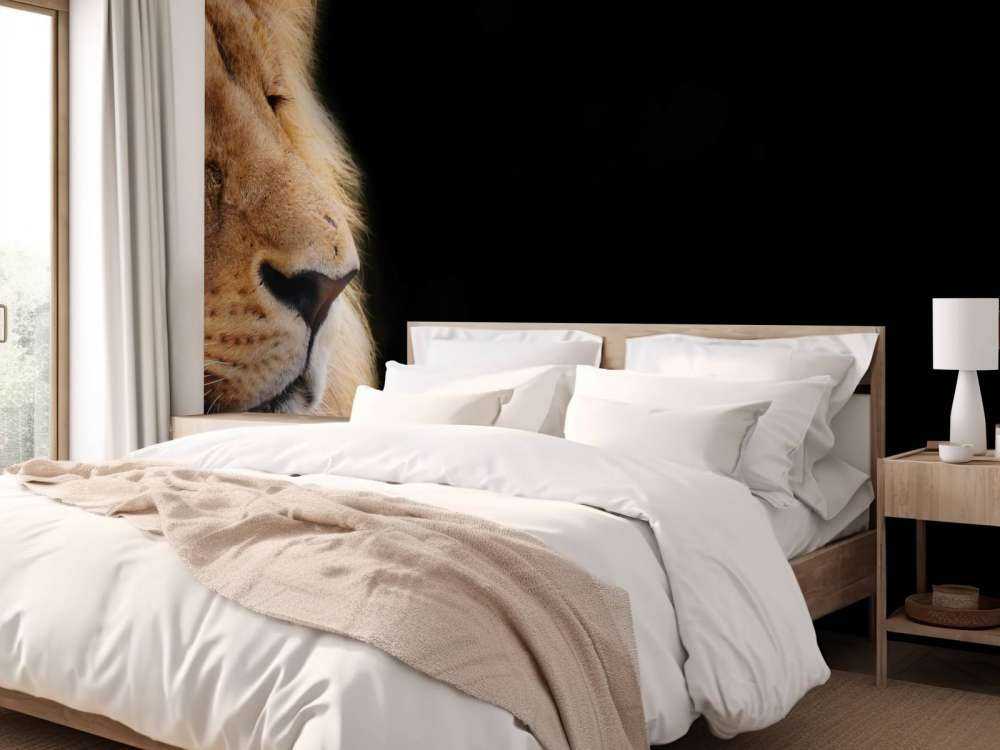 Lion en gros plan