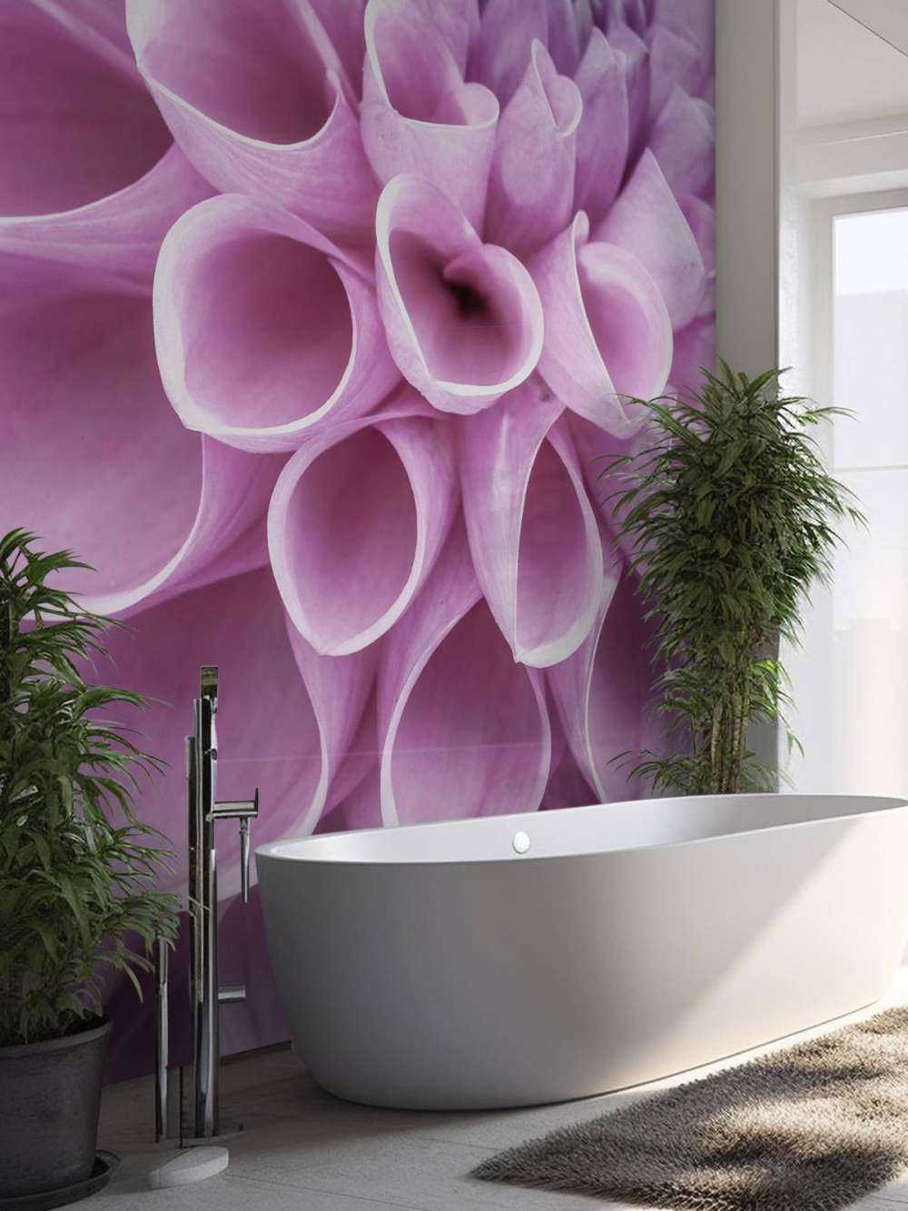 Dahlia mauve