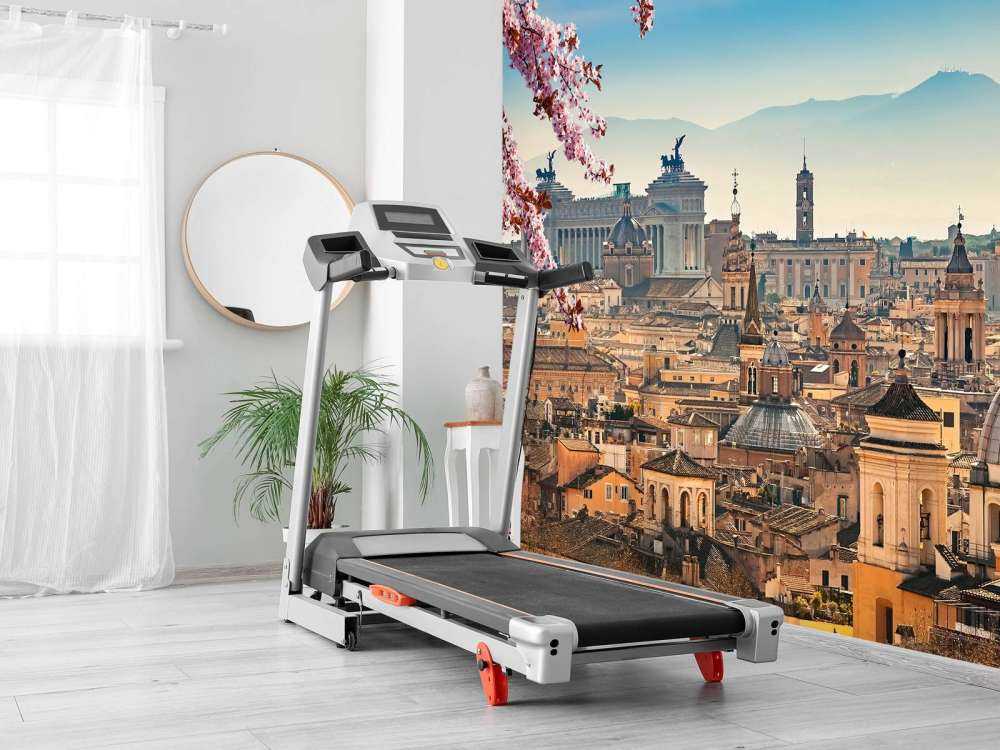 Vue sur Rome