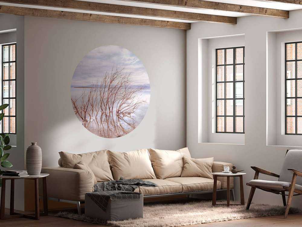 Branches dans la mer Morte
