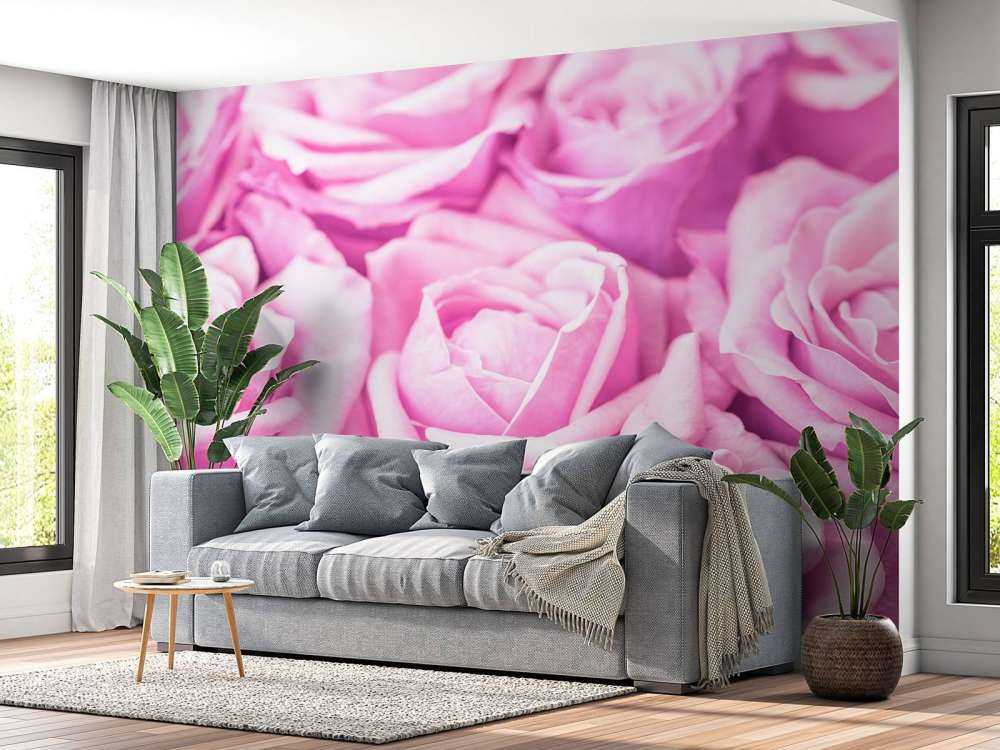 Plusieurs roses roses