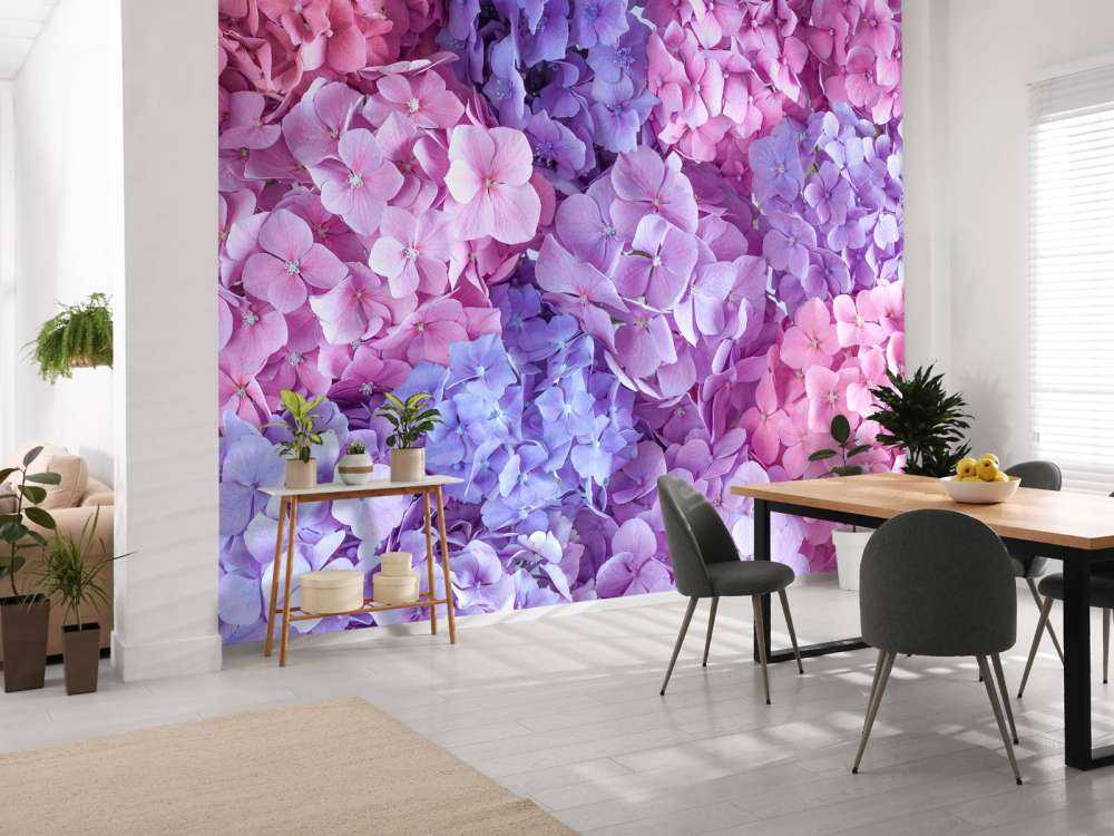 Hortensias multicolores