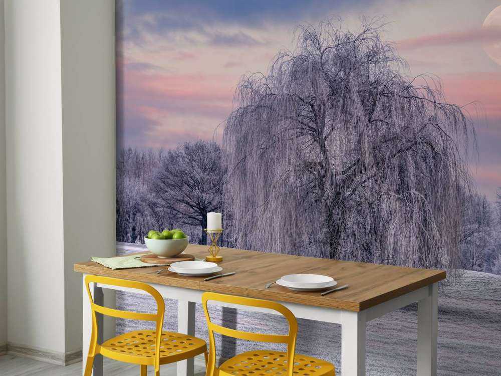 Arbre recouvert de givre
