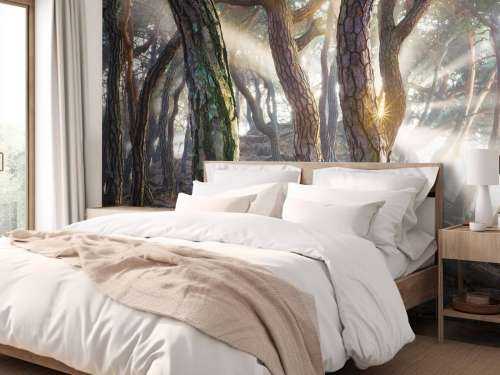 Sacred Pine Trees