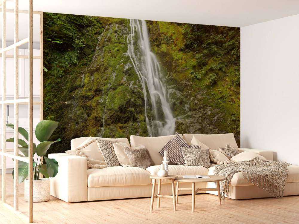 Chute d'eau avec une belle verdure