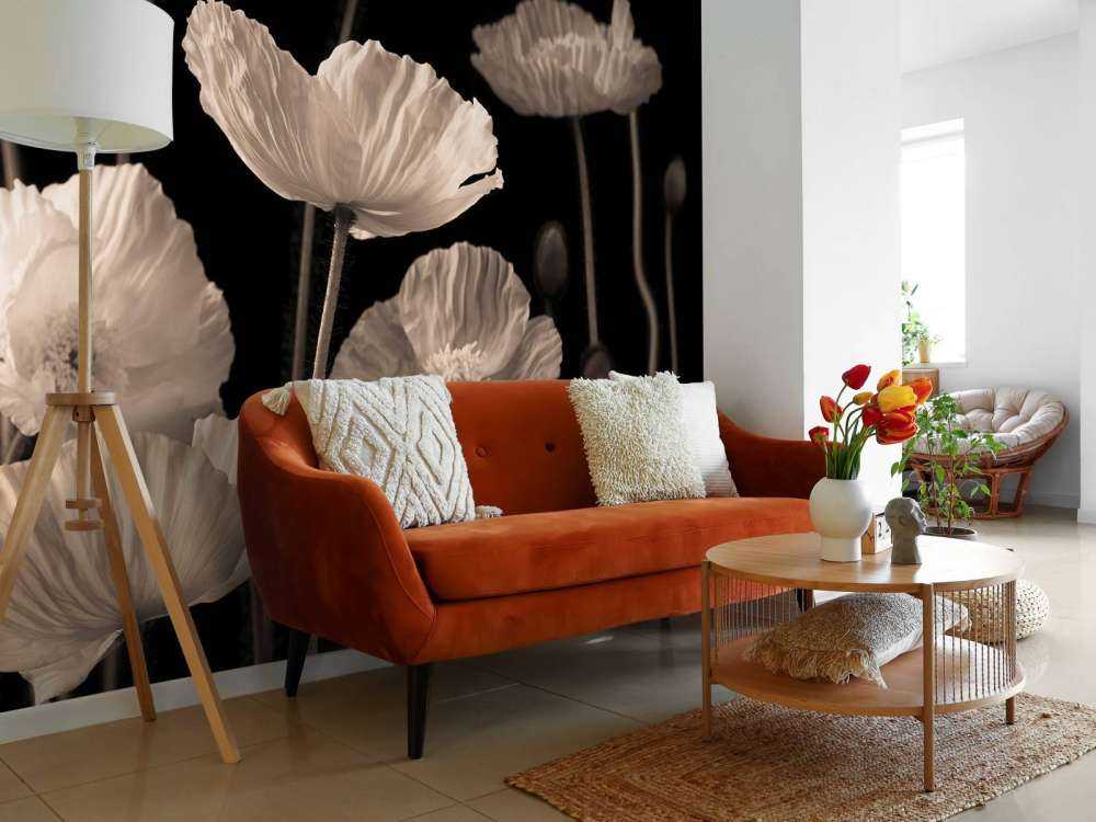 Coquelicots et bourgeons