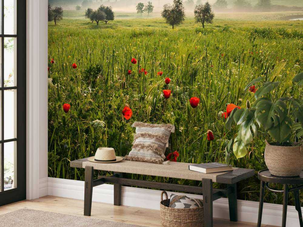 Tuscan spring