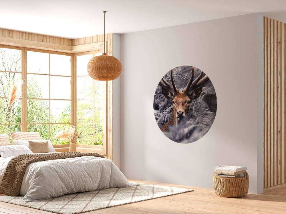 Gros plan sur un cerf