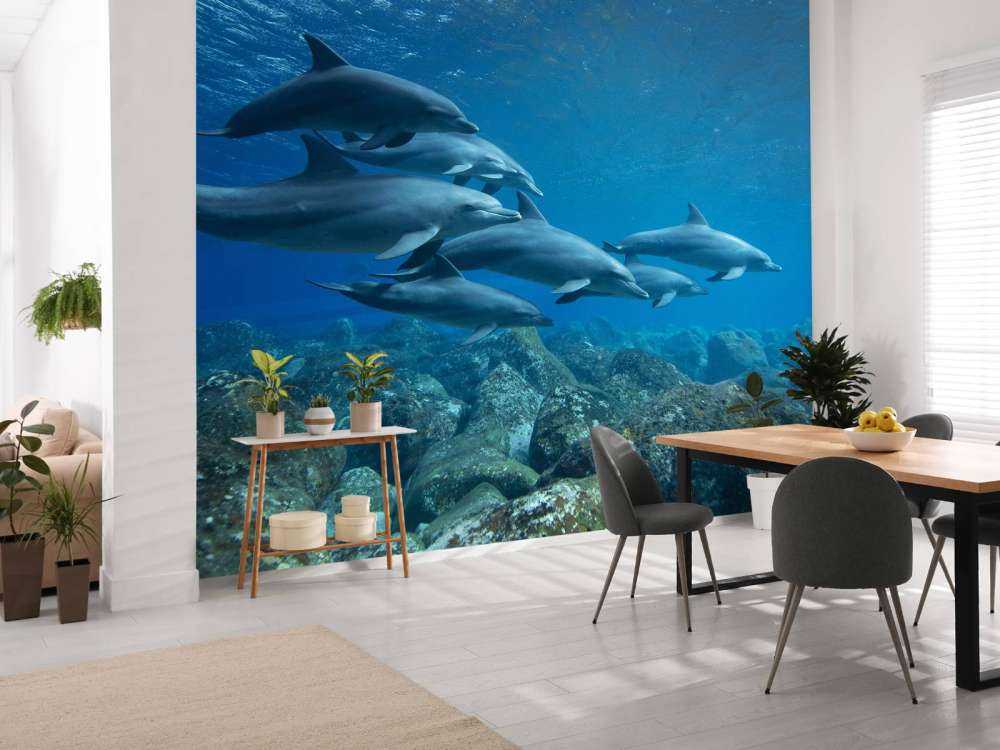 Dauphins et rochers