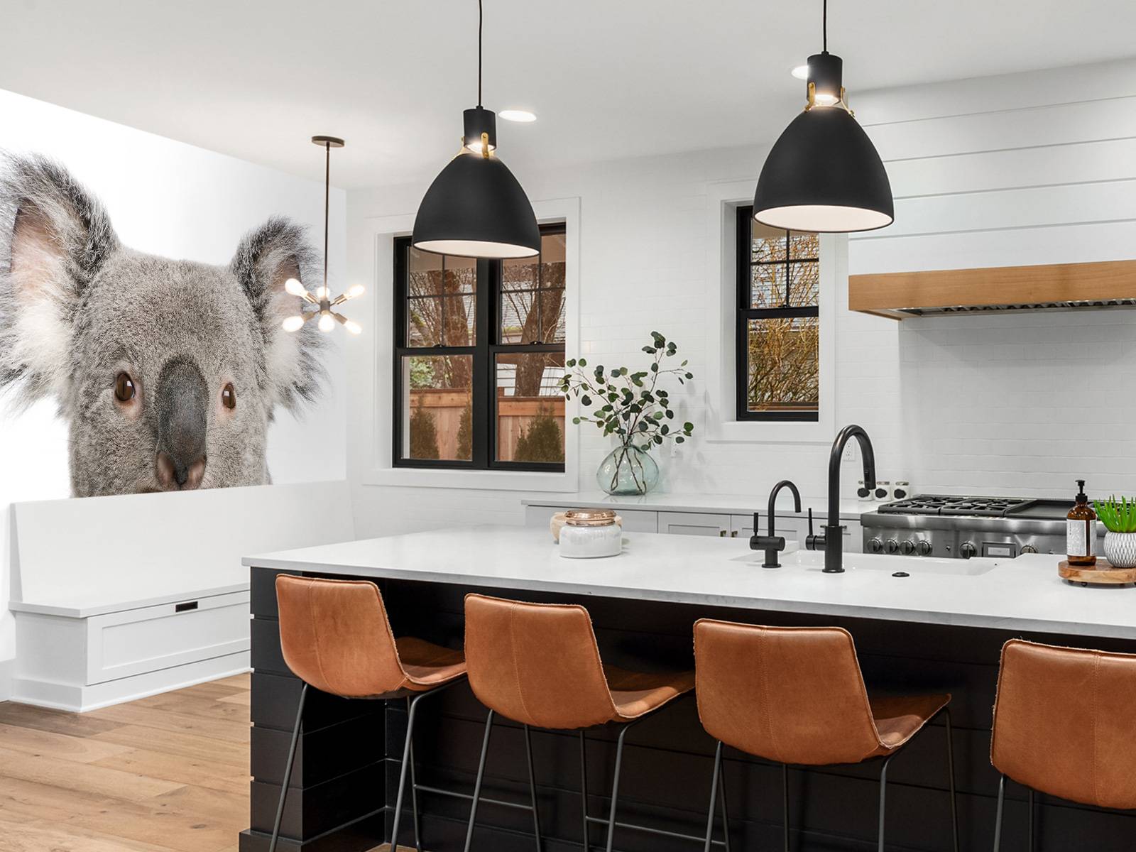 Photo d'un koala
