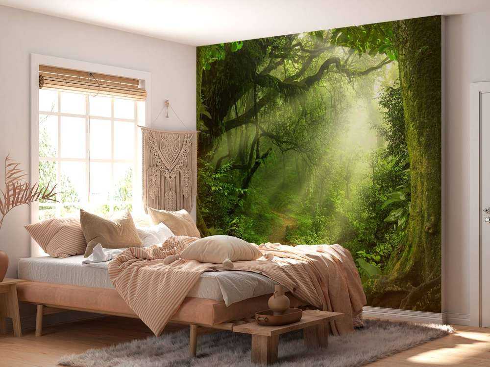 Jungle avec des rayons de soleil