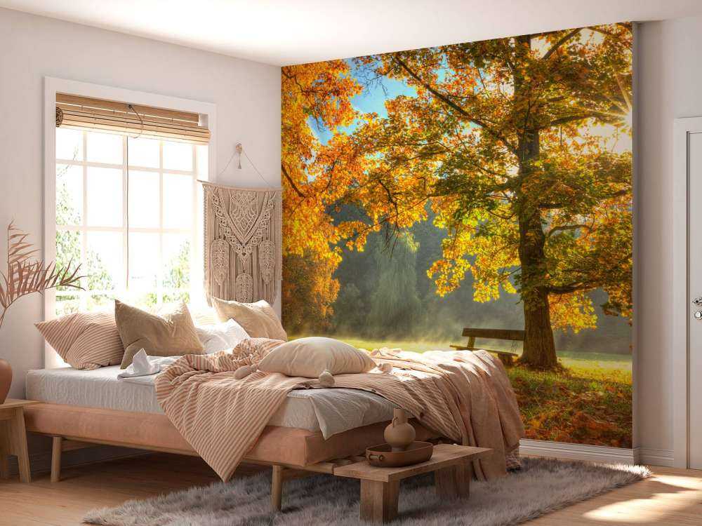 Arbre aux couleurs de l'automne