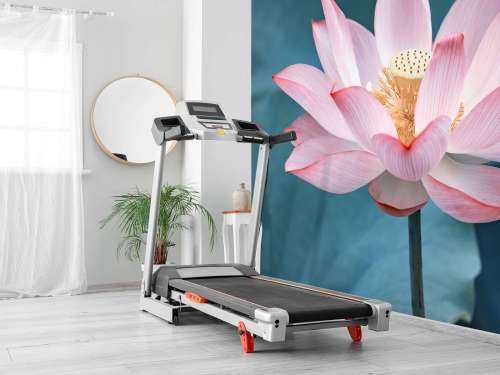 Gros plan sur la fleur de lotus