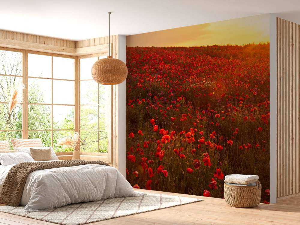 Des coquelicots sur une colline