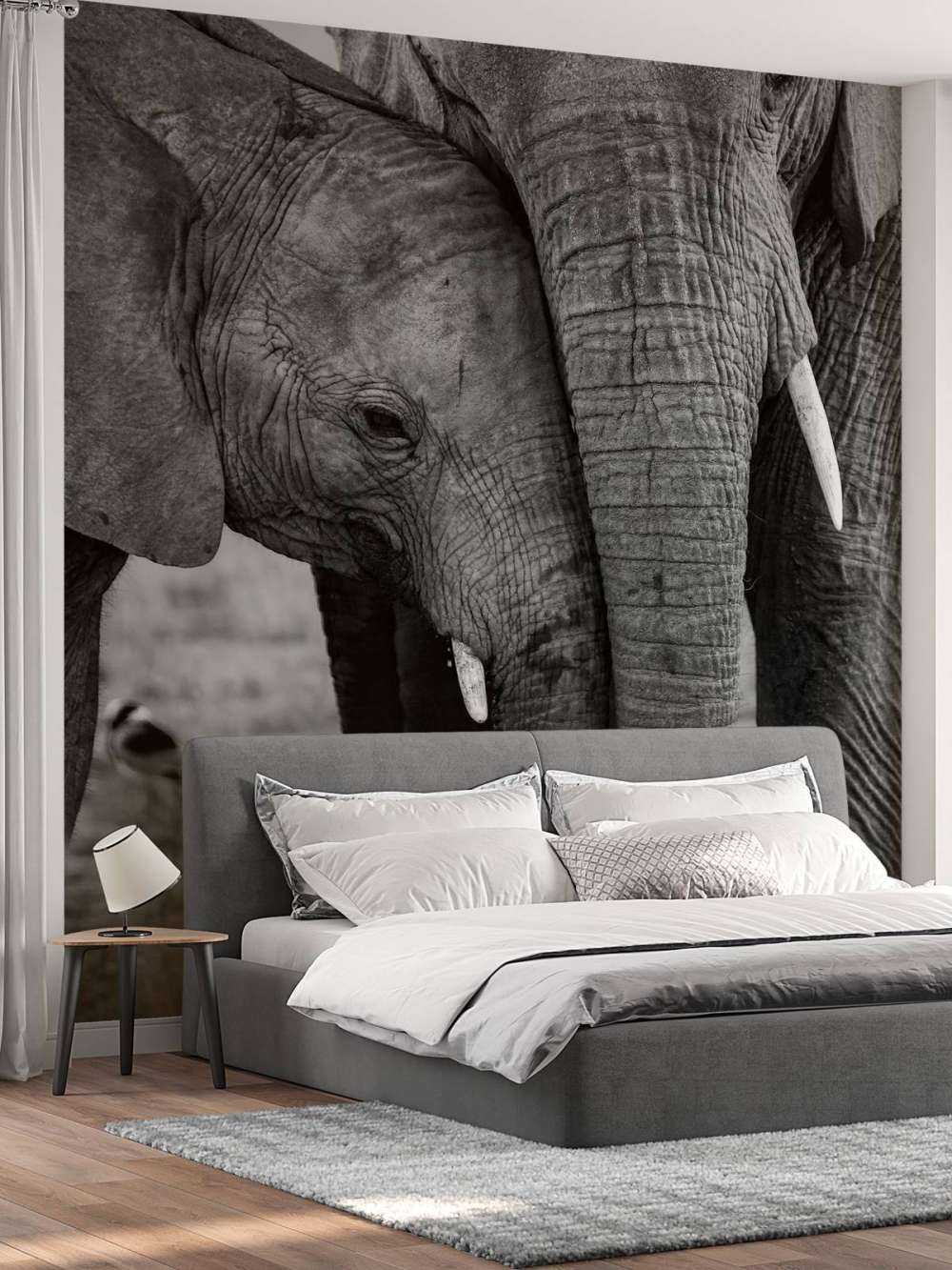 Câliner les éléphants